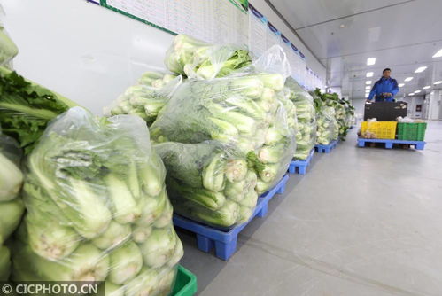 貴州遵義 構建農產品產供銷一條龍體系，以食用農產品初加工保障食品安全