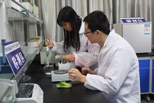 這一年，嚴字當頭 護航舌尖上的安全，食用農產品初加工