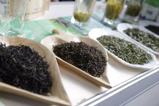 超贊！中山扶貧展銷會圓滿落幕，300余種特色農(nóng)產(chǎn)品備受青睞，食用農(nóng)產(chǎn)品初加工成焦點(diǎn)